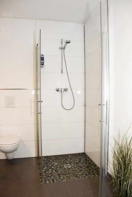 40qm Wohlfuehl-apartment Im Gruenen Mit Sorglospaket * Wuppertal