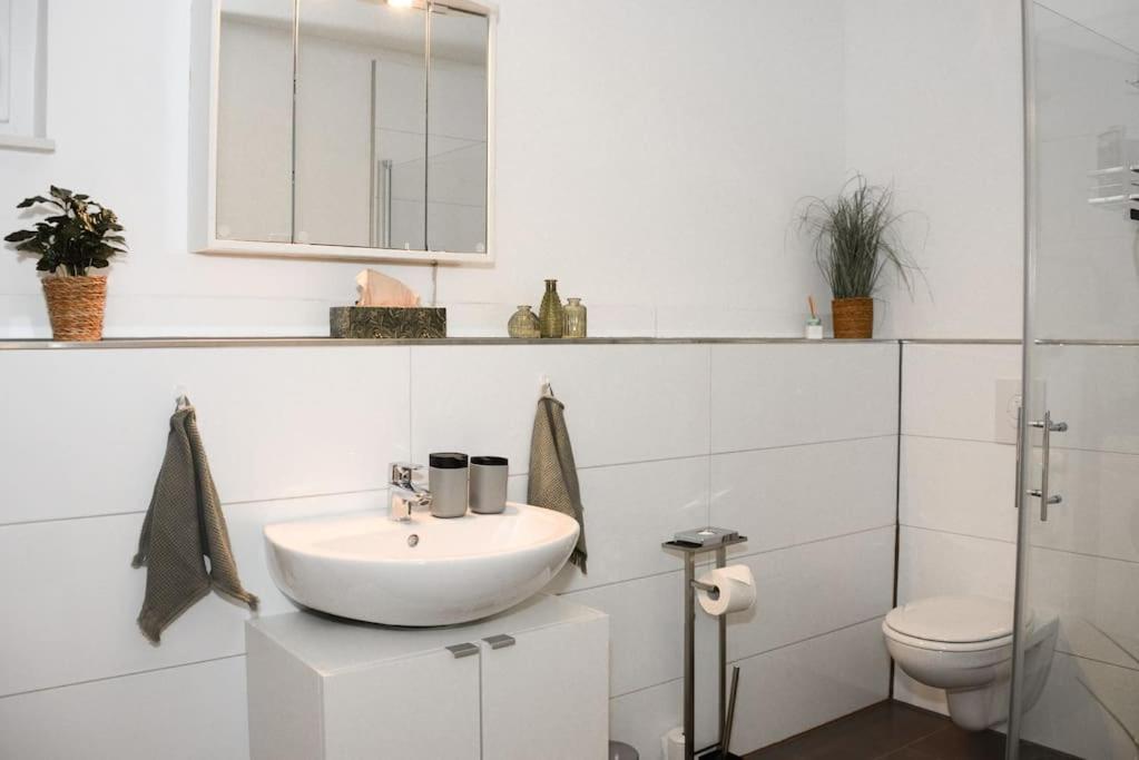 Apartment 40qm Wohlfuehl-apartment Im Gruenen Mit Sorglospaket Wuppertal